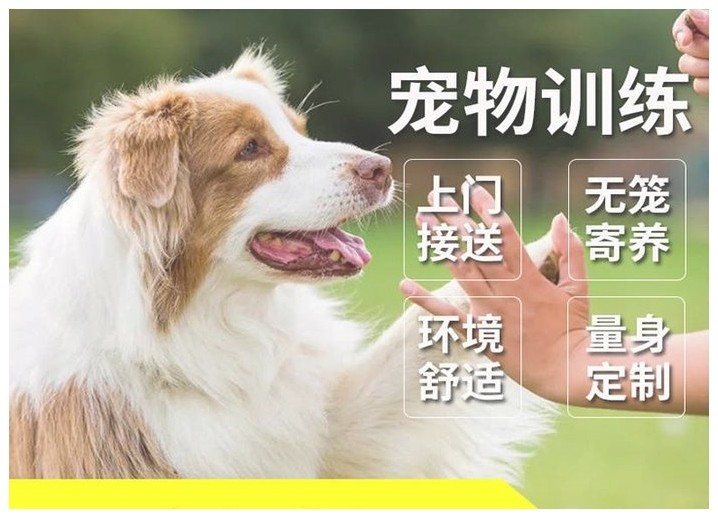 北京宠物培训中心（北京宠物入境隔离）